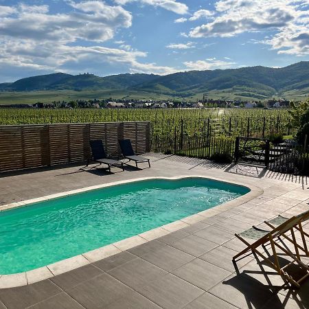 Gite Proche Colmar Vignoble 韦托尔塞姆 外观 照片