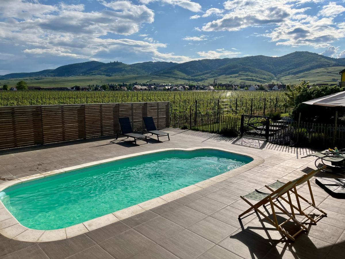 Gite Proche Colmar Vignoble 韦托尔塞姆 外观 照片